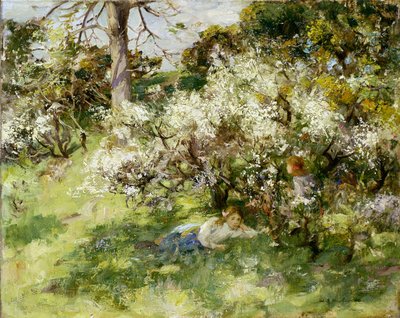 Sloe Blossom by William Stewart MacGeorge